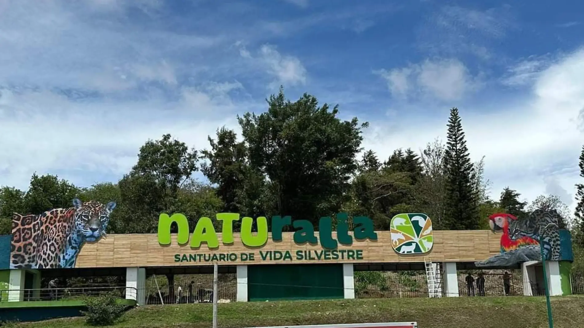 Santuario de Vida Silvestre “Naturalia” en Xalapa